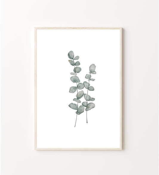 Eukalyptus Poster DINA 4